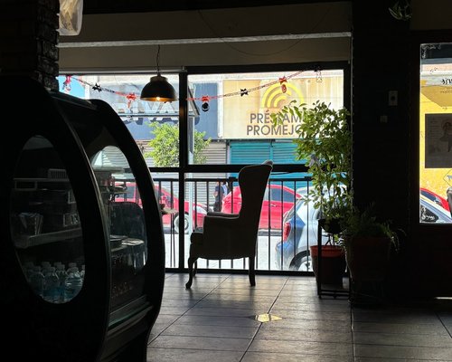 A cozy cafe environment in Mexico City, suitable for a meeting